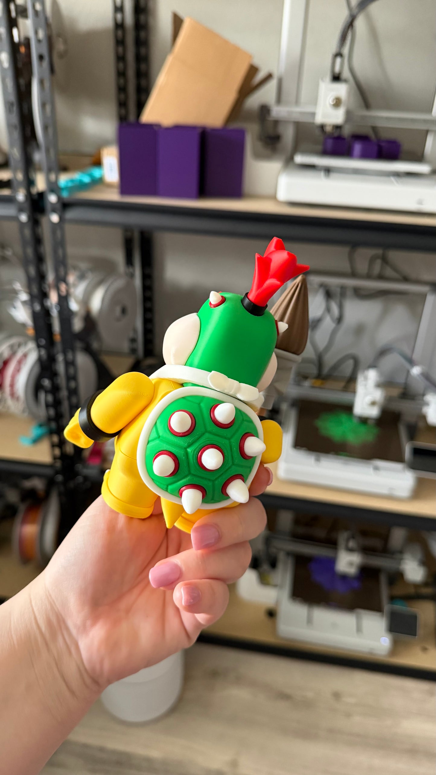 Bowser Jr. Chunkie